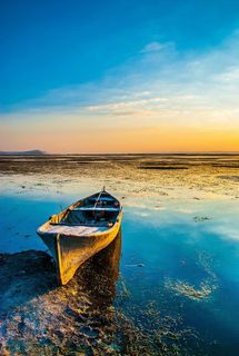 棕色，独木舟，尸体，水，白天，停靠，船，附近