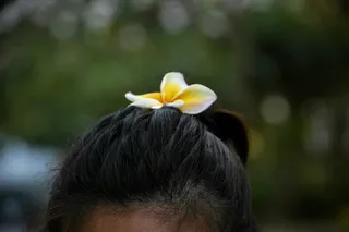 头发, 头, 人, 脸, 人类, 植物, 马尾辫, 开花