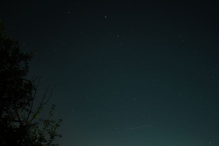 天体摄影，天体摄影，自然，天空，星星，树，夜晚