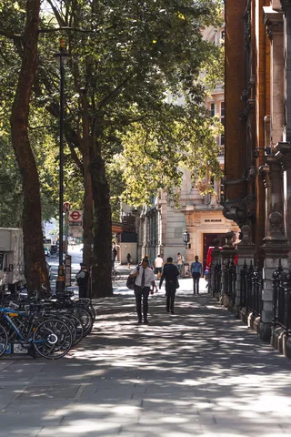 英国，工作，摄影，伦敦，简单，英国，墙，树