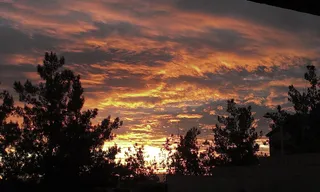 日落，云朵，日落背景，戏剧性的，橙色的天空，森林，公园，树木