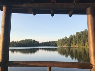 加拿大安大略省阿尔冈琴，水，树，反射，天空，植物