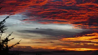 morgenrot，天空，树，云，火，表演，云天，日落