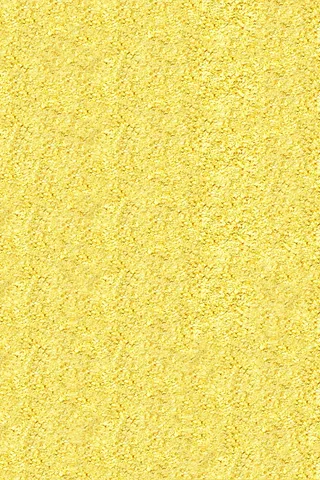 质地，玉米，面粉，淀粉，谷物，谷物，营养，薄片