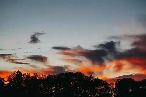 森林上空的日落