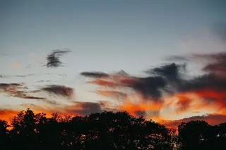 森林上空的日落