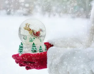 人，持有，棕色，鹿水球，冬天，雪球，圣诞节，雪