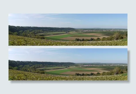 盆地,全景,乡村,展望,绿色,田野,葡萄园,葡萄酒 盆地,全景,乡村,展望,绿色,田野,葡萄园,葡萄酒