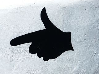 手，目录，方向，展示，领路，手枪，一只动物，动物