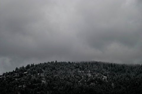 山，灰色，天空，灰度，多云，白天，树木，植物