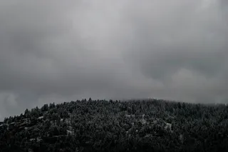 山，灰色，天空，灰度，多云，白天，树木，植物