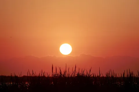 日落、黎明、太阳、黄昏、自然、傍晚、天空、朔维特 日落、黎明、太阳、黄昏、自然、傍晚、天空、朔维特