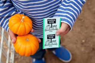 南瓜片，南瓜，秋天，秋天，童年，食物和饮料，食物，一个人