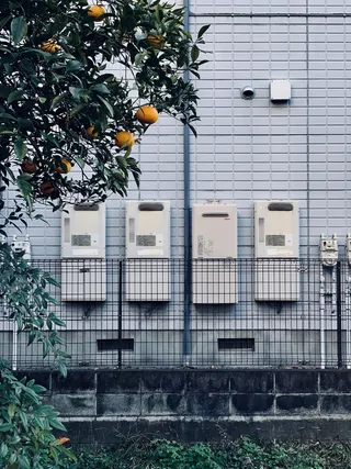 建筑物旁边的橙色果树