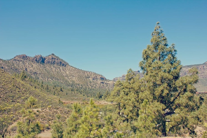 风景、山脉、自然、天空、蓝天、晴空、日光、环境