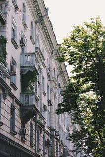 建筑，建筑，建筑，艺术，城市，植物，绿色，自然