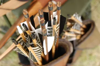 射箭、箭、弓、狩猎、选择性聚焦、选择、无人、大型物体群