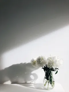 白花 白花