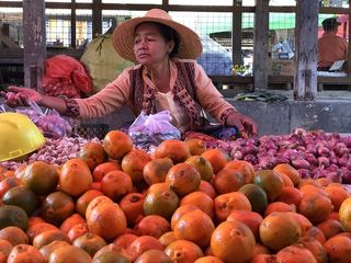 白天戴草帽卖水果蔬菜的女人