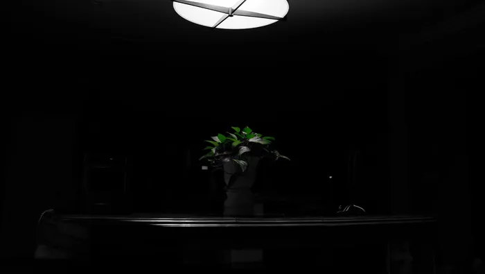 绿色、nd、过滤器、植物、照明设备、室内、自然、树叶