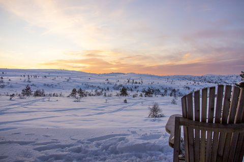 日落，雪，风景，美丽，景色，红色，天空，树木