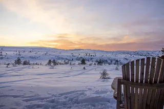 日落，雪，风景，美丽，景色，红色，天空，树木