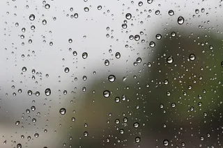 在哥斯达黎加，cedros de montes de oca，抽象，雨，滴，水，湿，没有人