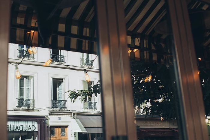 树附近的白色商业建筑