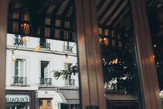 树附近的白色商业建筑