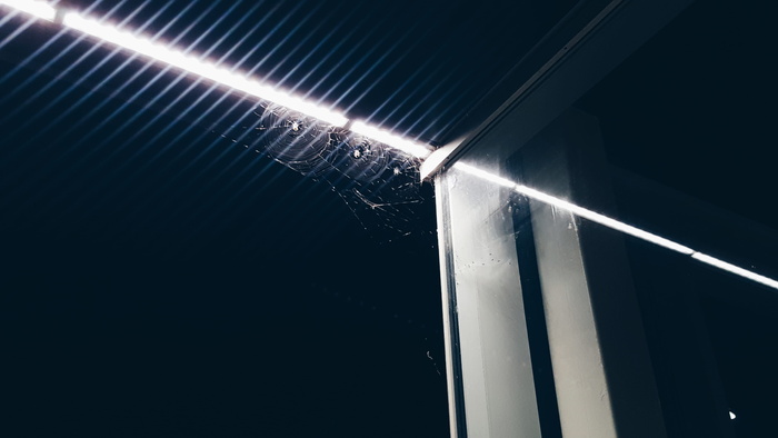 light，montréal，4850 chemin de la côte des neiges，加拿大，户外，自然，夜间，建筑