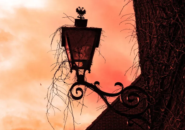 金属烤饼，有盖，藤蔓，立面灯，壁灯，复古灯，壁灯，挂架