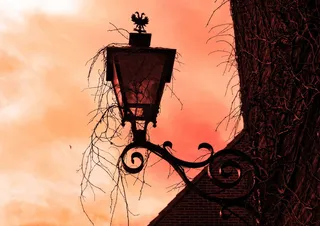 金属烤饼，有盖，藤蔓，立面灯，壁灯，复古灯，壁灯，挂架