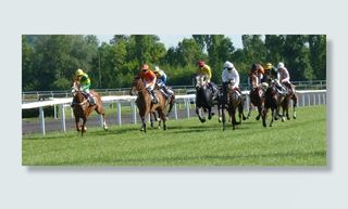 竞技场，马，比赛，赛马，Pmu，马，比赛，骑师，马