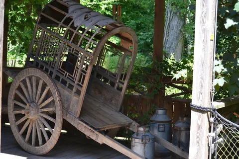 dare，团队，cart，以前，马车，历史，非洲，怀旧