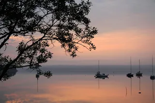 湖，早晨，粉红色，树，船，雾，湖，早晨，水