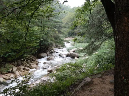 自然,山谷,蒙京城,韩国,韩国,旅游目的地,蒙京城,树 自然,山谷,蒙京城,韩国,韩国,旅游目的地,蒙京城,树