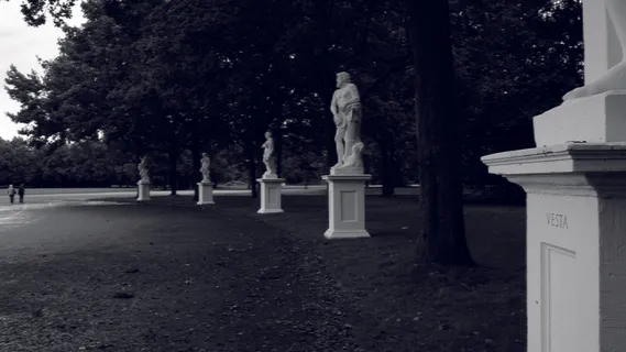 德国、卡塞尔、黑白、雕像、曲线、树木、植物、艺术和工艺