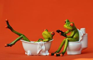 两个，绿色，青蛙，浴缸，马桶，浴缸，厕所，搞笑