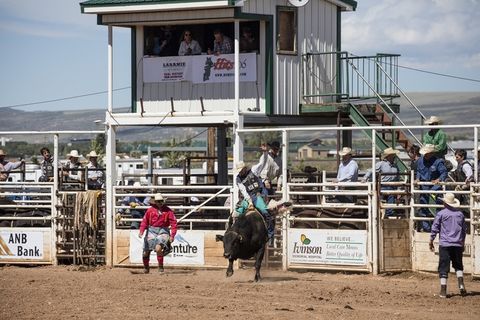 牛仔、公牛骑手、牛仔竞技、男子、雄鹿、动作、竞技场、运动