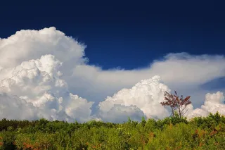 美丽、蓝色、多彩、乡村、乡村、黑暗、深邃、环境