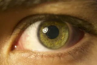 眼睛，绿色，瞳孔，虹膜，标签，视网膜，眼睛，视力
