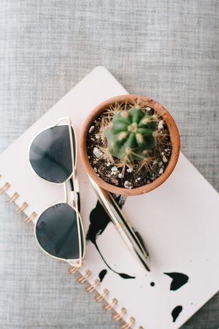 加拿大，温哥华，黄金，钢笔，工作，笔记本，夏天，家庭办公室