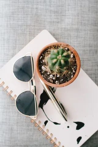 加拿大，温哥华，黄金，钢笔，工作，笔记本，夏天，家庭办公室