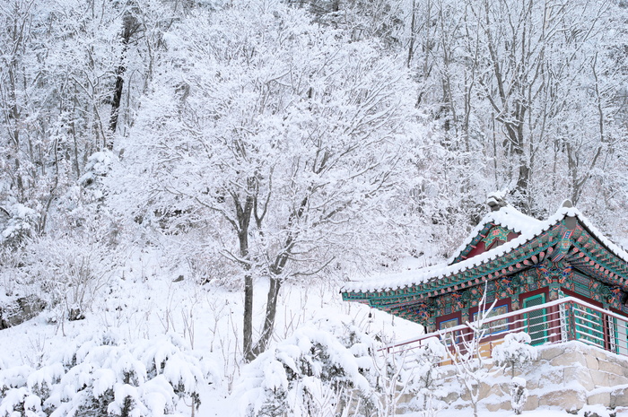 雪，白，韩国，寺庙，佛教，冬天，自然，风景