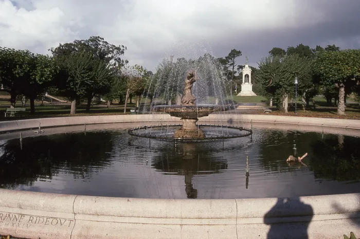 美国旧金山、加利福尼亚、水、树、雕塑、雕像、植物