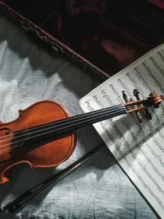 棕色小提琴,小提琴,音乐书,箱子,音乐,小提琴音乐,弦乐,乐器 棕色小提琴,小提琴,音乐书,箱子,音乐,小提琴音乐,弦乐,乐器
