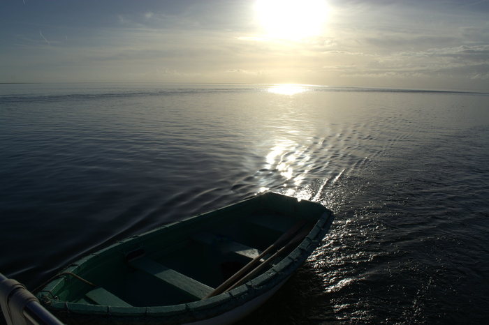 日落，北海，保护区，海洋，阿本斯蒂姆蒙，北弗里斯兰，背景，大气