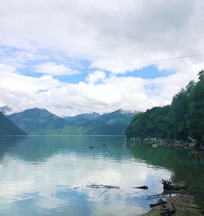 海湾、海滩、树枝、云、云、日光、森林、岛屿