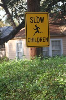 标志、路标、道路标志、植物、通信、文字、树木、警告标志