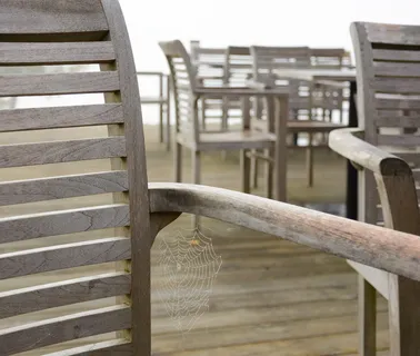 带蜘蛛网的椅子